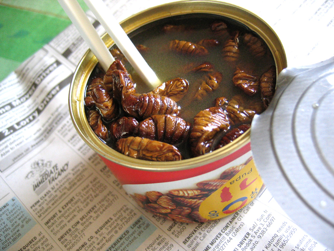 What is the weirdest food you ever ate?