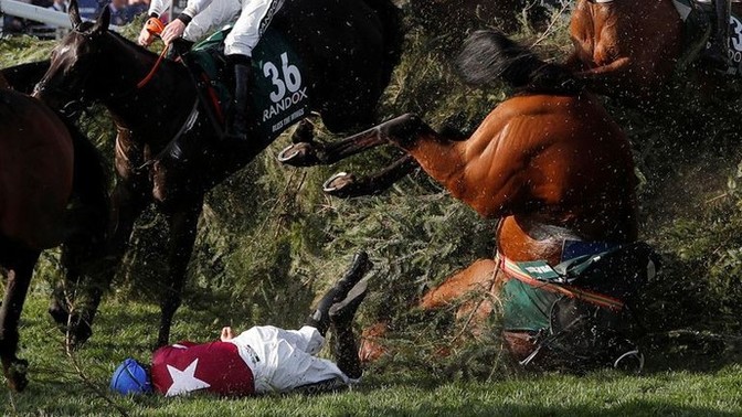 Should the grand national be banned?