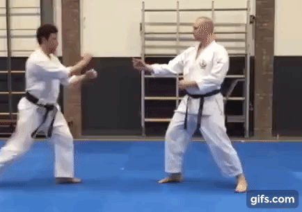 Have you ever taken Karate lessons or any other martial arts training?