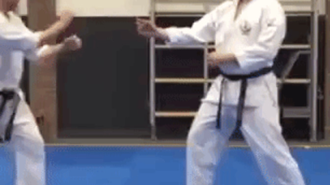 Have you ever taken Karate lessons or any other martial arts training?