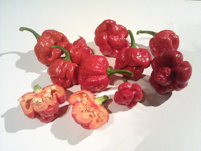 Whats The Hottest Pepper You Can Handle?