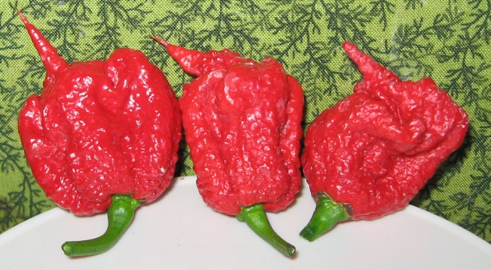 Whats The Hottest Pepper You Can Handle?