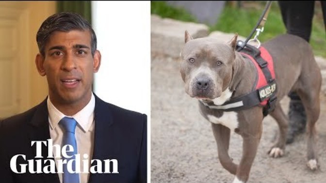 Should certain breeds of cats and dogs be banned?