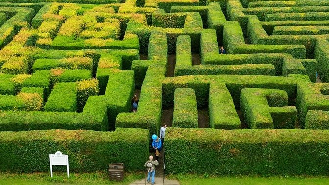 Do you think you could find your way through a real life hedge maze?