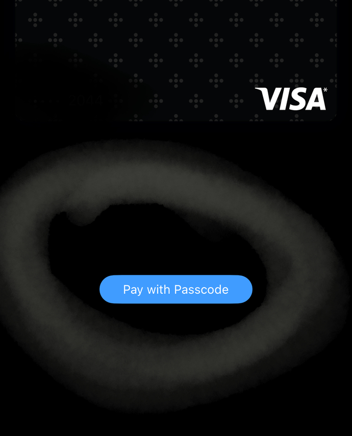 How do you use Apple Wallet Apple Pay to pay for things at stores with your iPhone?