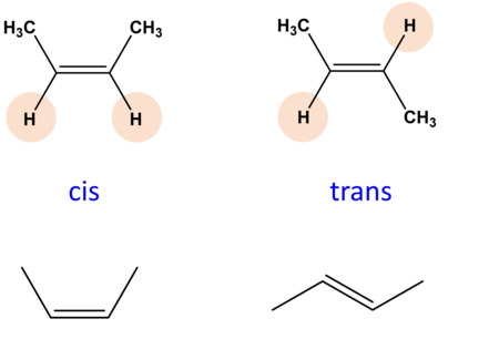 Do you use the adjectives "cis" and "trans"?