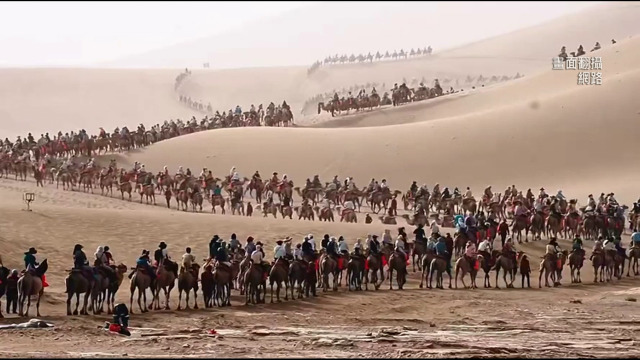 Do you think purchasing a camel is a good investment?