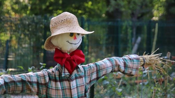 Do you think scarecrows are useless?
