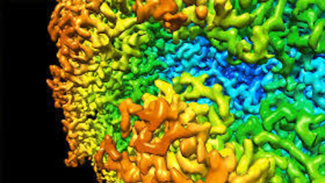 Has anyone ever had a VIRAL Gastroenteritis Virus?