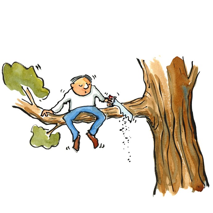 Did you spend time climbing trees as a child?
