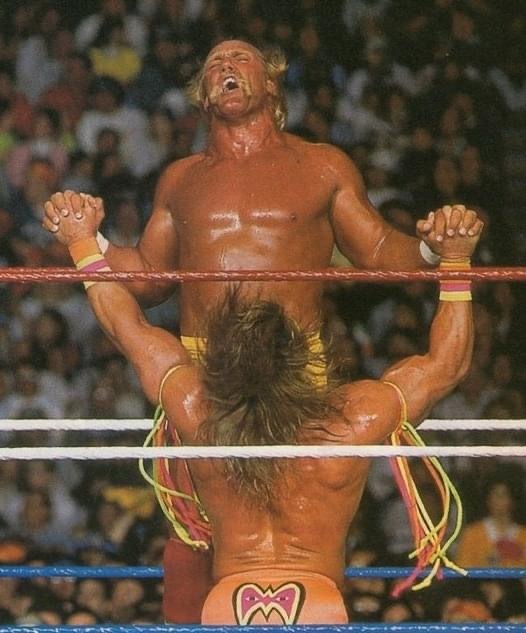 Give this photo a funny caption?