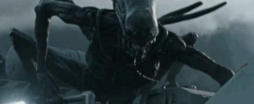 Do horror movies scare you, or do you just find them entertaining and funny?