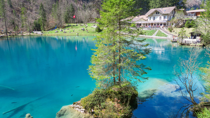 Which nature shot do you like more?