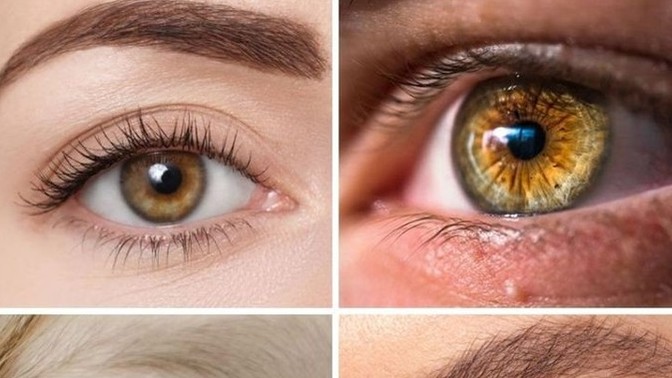 Why aren't hazel and green eyes as popular as blue eyes?
