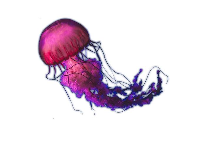 swimming in purple gooey...