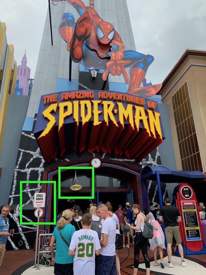 Would you ever go to a theme or amusement park alone?