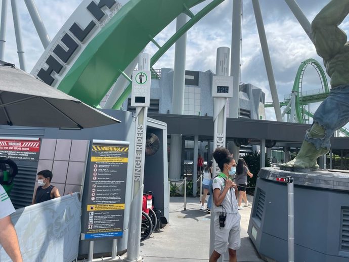 Would you ever go to a theme or amusement park alone?