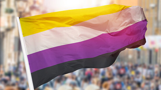 Can someone explain to me the meaning of non-binary?