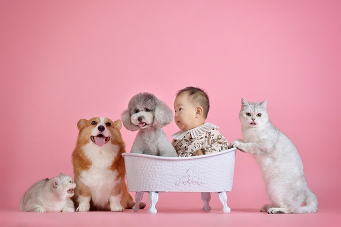 Why do people HATE children yet love BABY animals?
