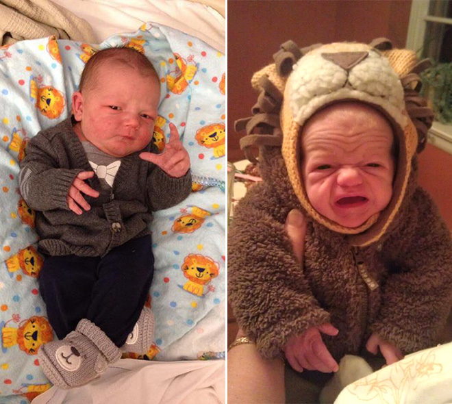 Why do people HATE children yet love BABY animals?