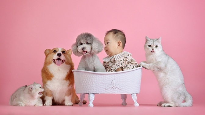 Why do people HATE children yet love BABY animals?