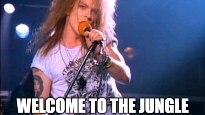 Wasn’t it nice of Axle Rose from Guns and Roses to politely welcome us all to the Jungle?
