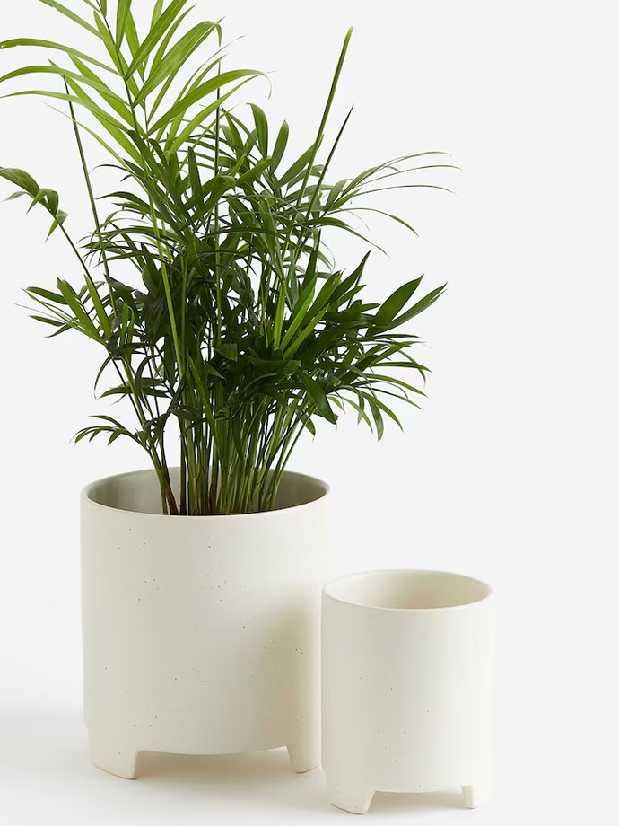 What are your favorite pot plants for home and why?