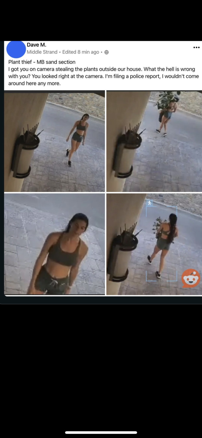 What would you do if this girl stole a plant off your porch?