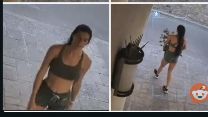 What would you do if this girl stole a plant off your porch?
