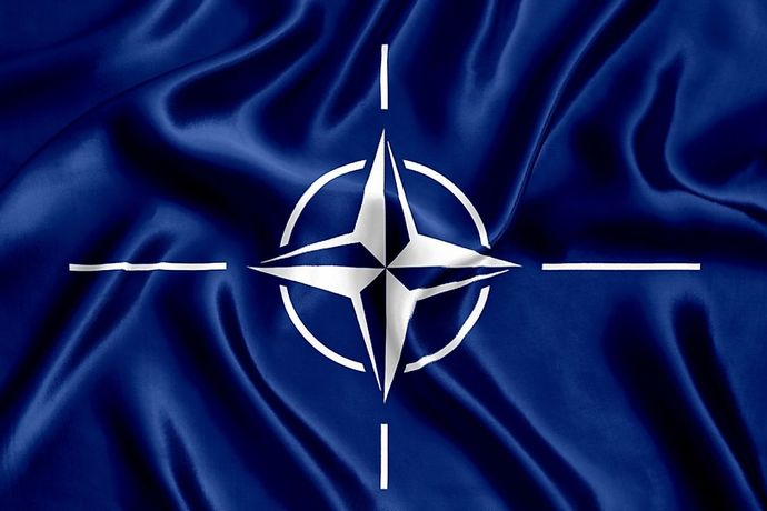 Trump Saved Nato