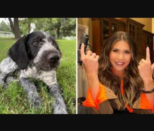 Should murdering her dog disqualify Kristi Noem from being Trumps VP pick?