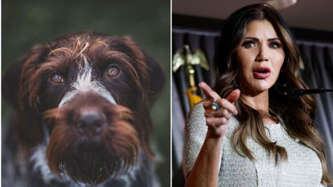 Should murdering her dog disqualify Kristi Noem from being Trump's VP pick?