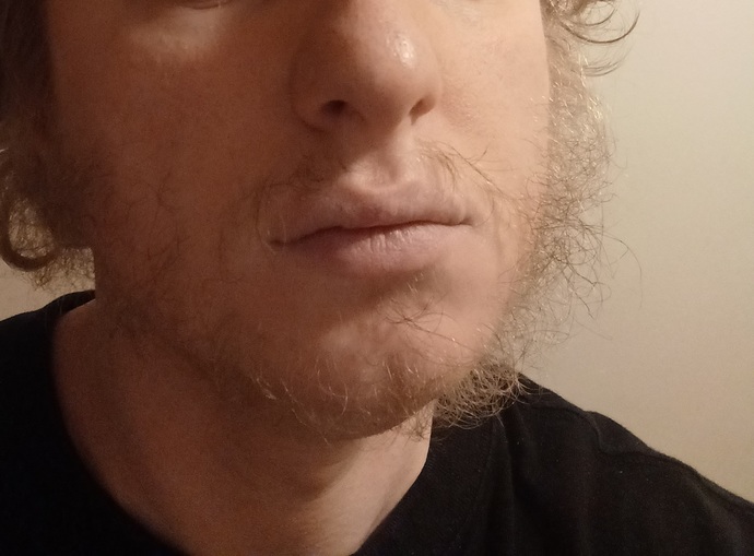 Can you grow a nest inside my beard?