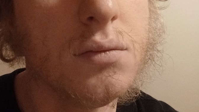 Can you grow a nest inside my beard?