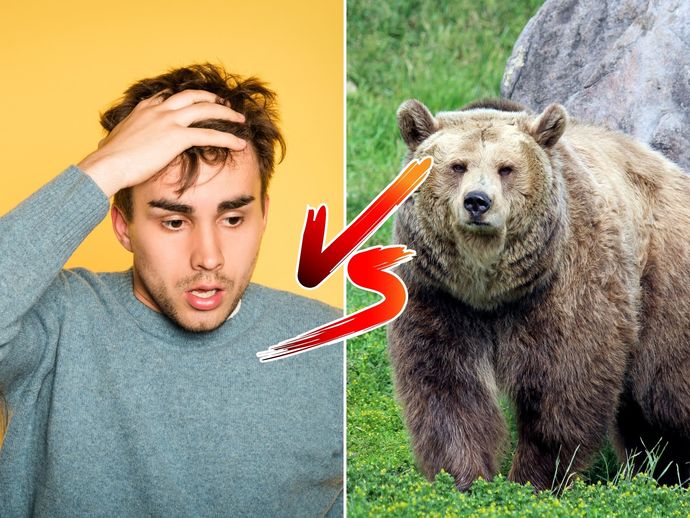 Girls, Ladies whats your opinion on the whole bear vs man thing?