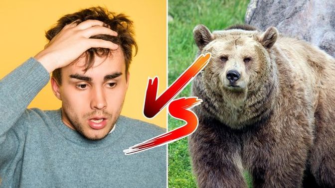 Girls, Ladies what's your opinion on the whole bear vs man thing?