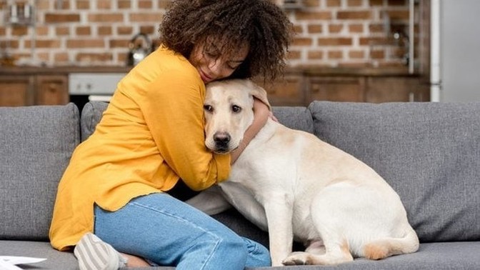 How have pets impacted your life?