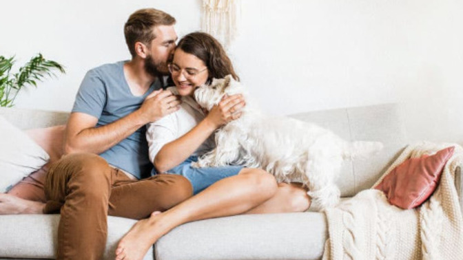 How are people getting housing?