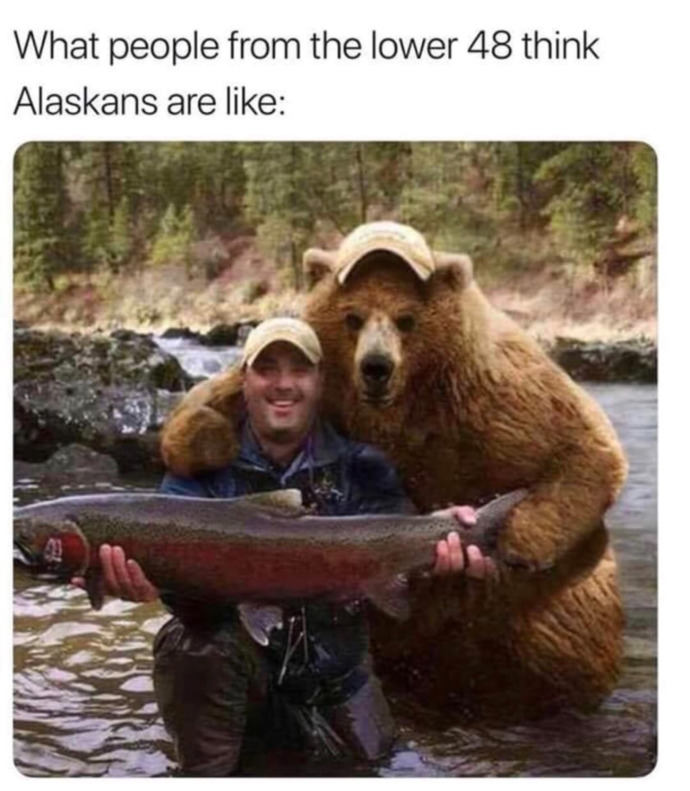 What's your opinion on the man vs bear question?