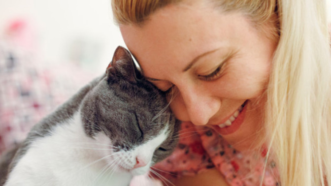 Why do people like cats?