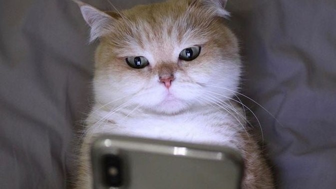 Is there someone you text goodnight to before going to sleep?
