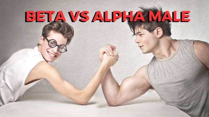 T or F? Alpha males are fearless trailblazers who love to be in control while beta males are kind, gentle souls who prioritize personal connections?