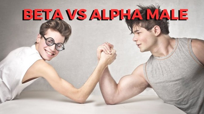 T or F? Alpha males are fearless trailblazers who love to be in control while beta males are kind, gentle souls who prioritize personal connections?