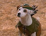 What's the weirdest cartoon/TV show you liked watching as a kid?