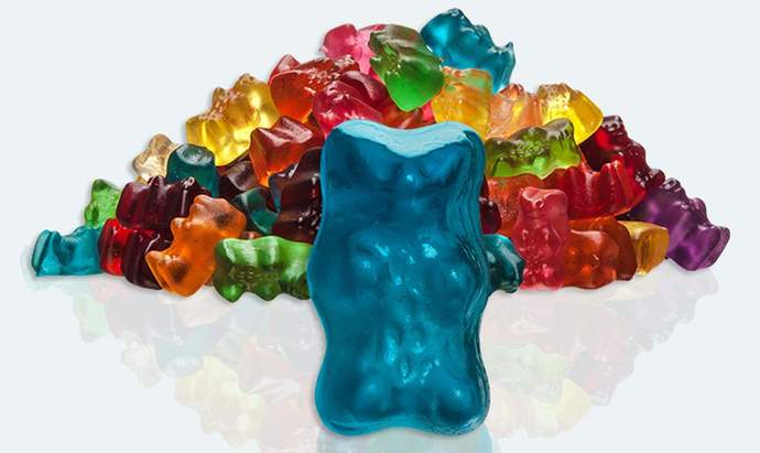 Would you choose the Bear?