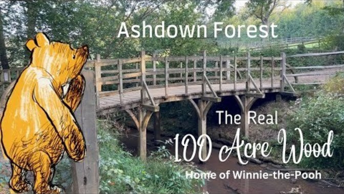 If you know of Winnie the Pooh cartoon character, would you go and is this a good date idea to go on a walk in ashdown Forest, East Sussex in England?