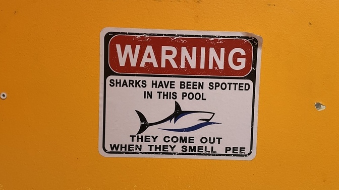 Your thoughts on this sign I saw in a restroom I was in earlier?