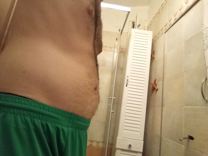 What is meant by a skinny fat body?