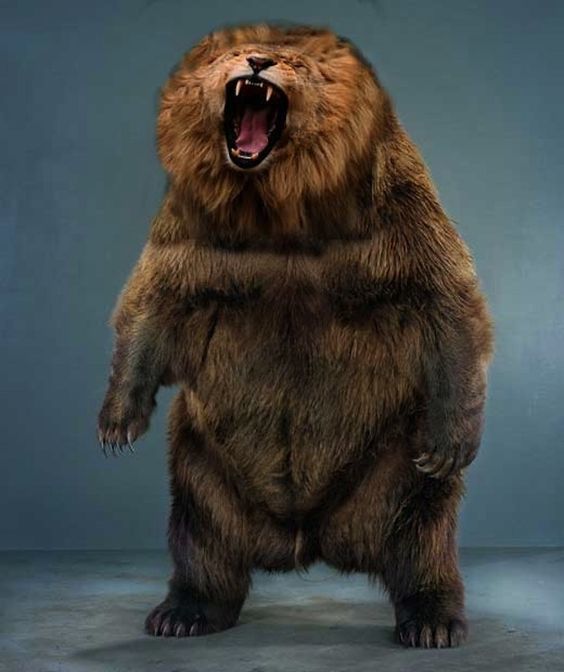 You are in the woods. You are alone. Would you rather encounter a real bear or a man in a bear costume?