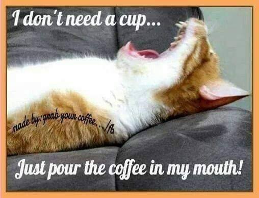Can you function without your coffee in the morning?